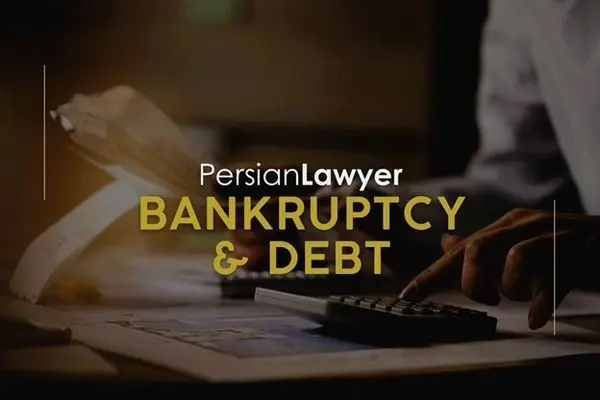 The Role of an Iranian Bankruptcy Lawyer in Chapter 7 Bankruptcy