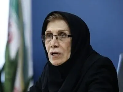 زنان مجرد در روستاها، وضعیت شغلی مناسبی ندارند
