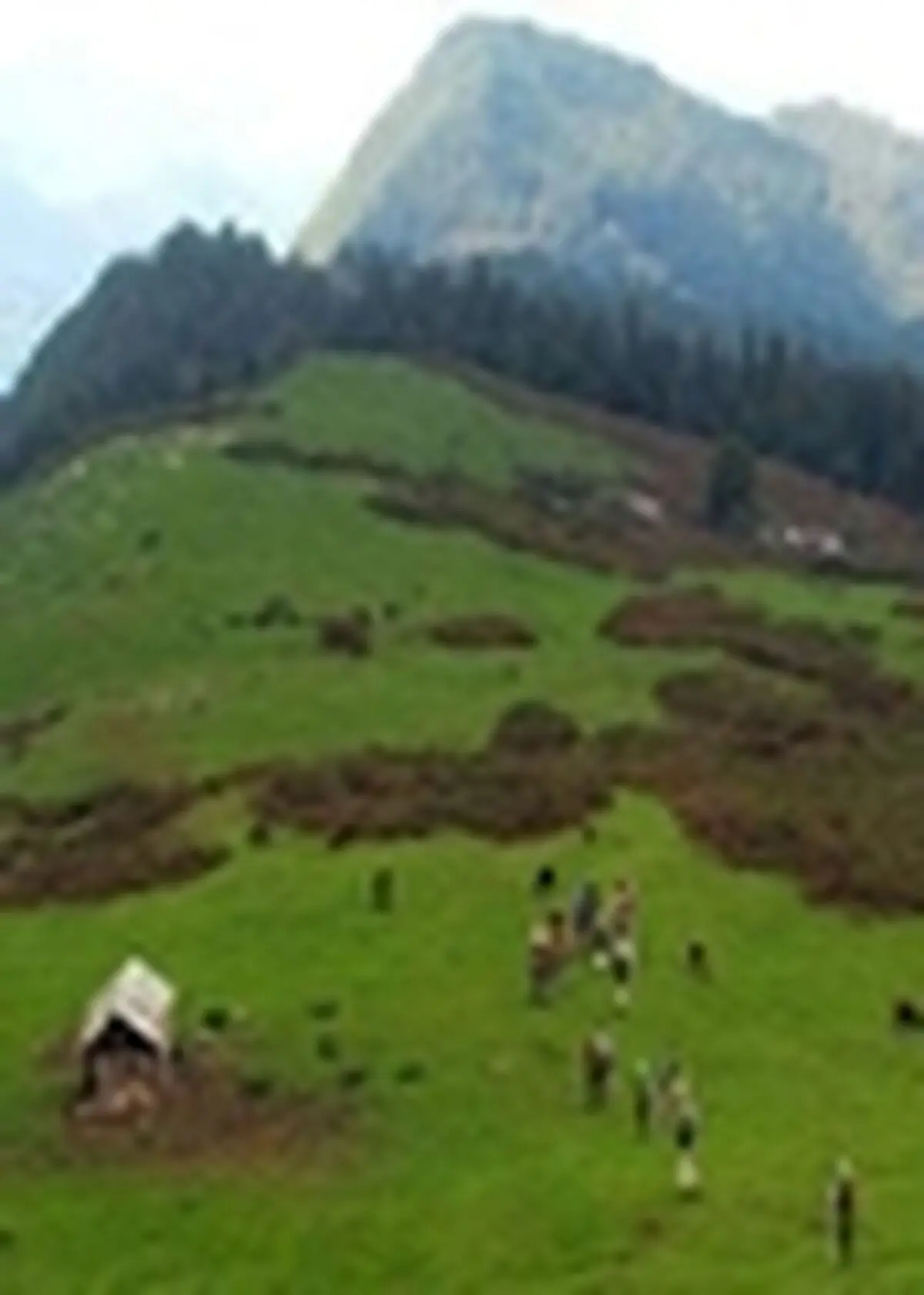 رسیدگی به پرونده‌های تخلفی در۳۹۰ هکتار از اراضی شهرستان زنجان