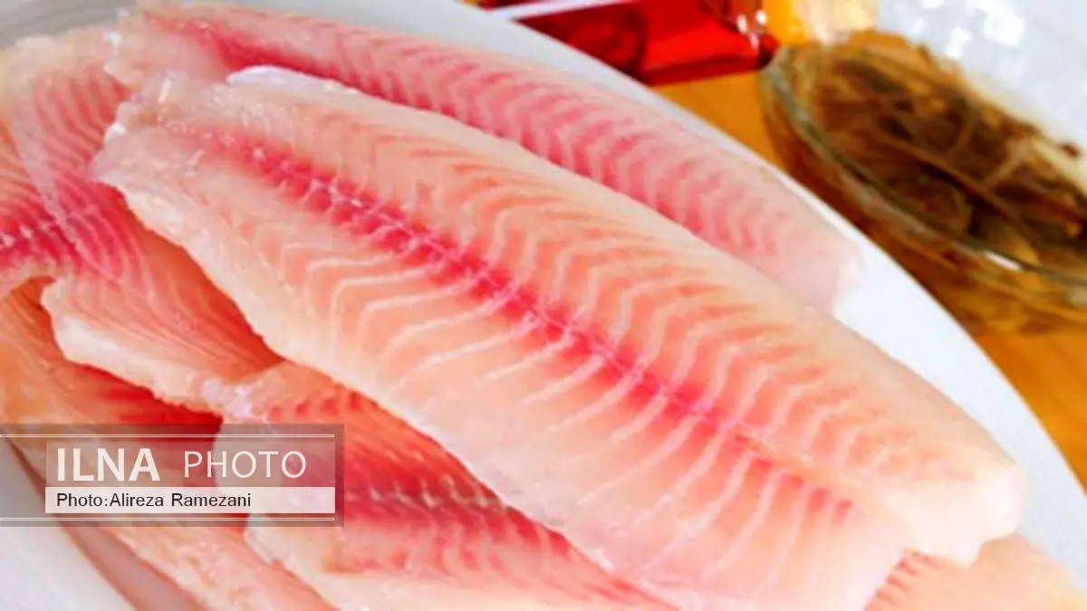 افزایش 700تنی واردات ماهی تیلاپیا در سال94