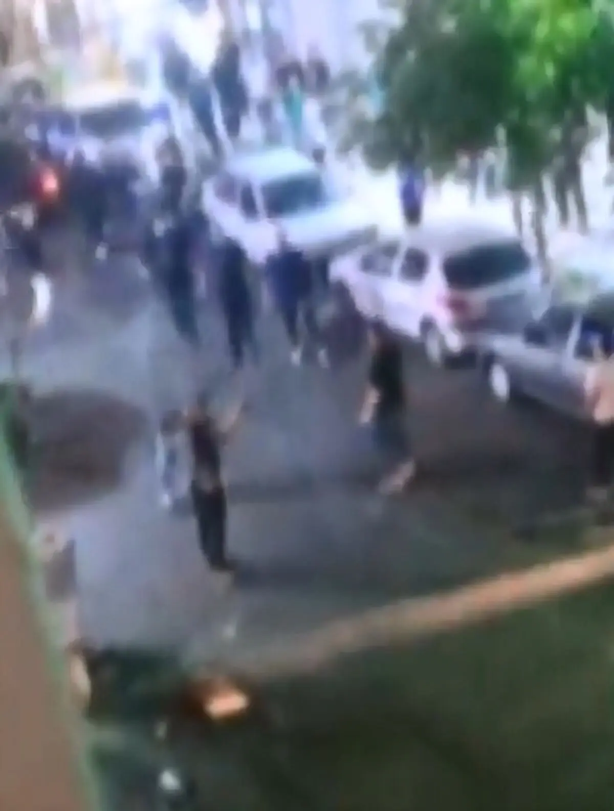 دستگیری قمه‌کشان خاک سفید تهران + فیلم