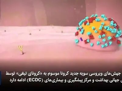 علائم «کرونای تیغی» چیست؟ + فیلم