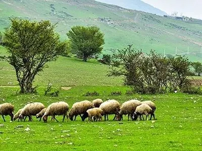 پیشنهاد نامگذاری روز ملی مرتع و مرتعداری در تقویم رسمی کشور
