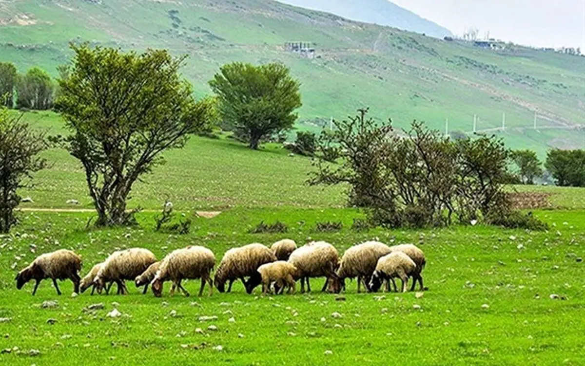 پیشنهاد نامگذاری روز ملی مرتع و مرتعداری در تقویم رسمی کشور