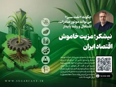 نیشکر؛ مزیت خاموش اقتصاد ایران