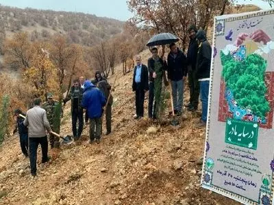 هزاران درخت به نام مادر در کهگیلویه و بویراحمد کاشته شد
