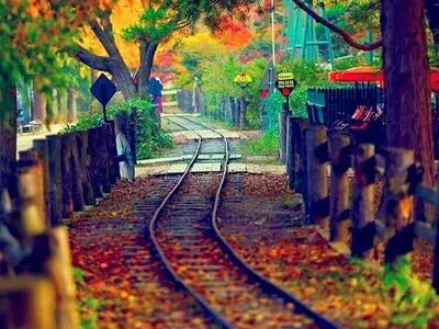 فضای رویایی خط متروی شهر سئول در کره جنوبی / عکس