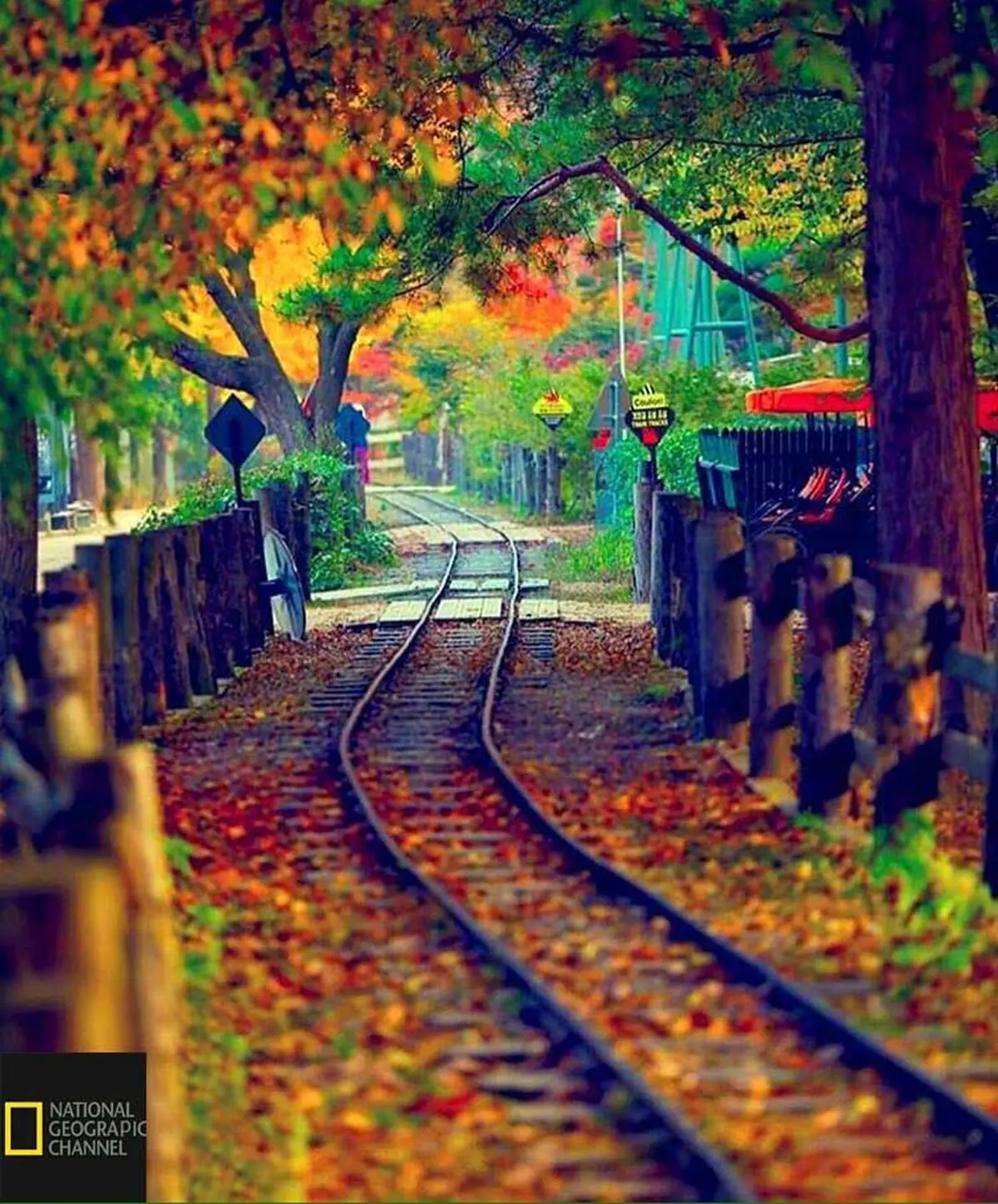 فضای رویایی خط متروی شهر سئول در کره جنوبی / عکس