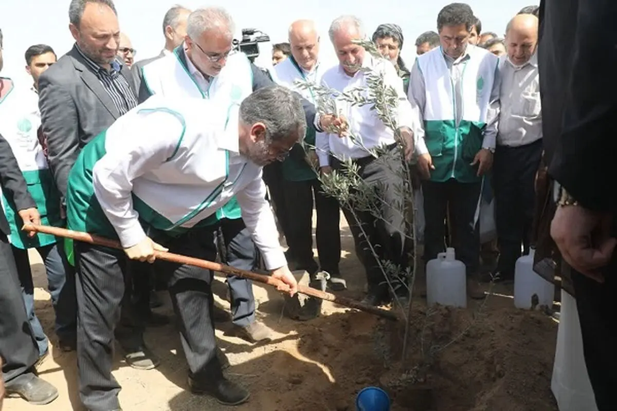زنگ کاشت یک میلیارد درخت در ایران به صدا درآمد/ درختکاری در یکی از کانون‌های تولید گرد و غبار در تهران + عکس
