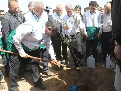 زنگ کاشت یک میلیارد درخت در ایران به صدا درآمد/ درختکاری در یکی از کانون‌های تولید گرد و غبار در تهران + عکس