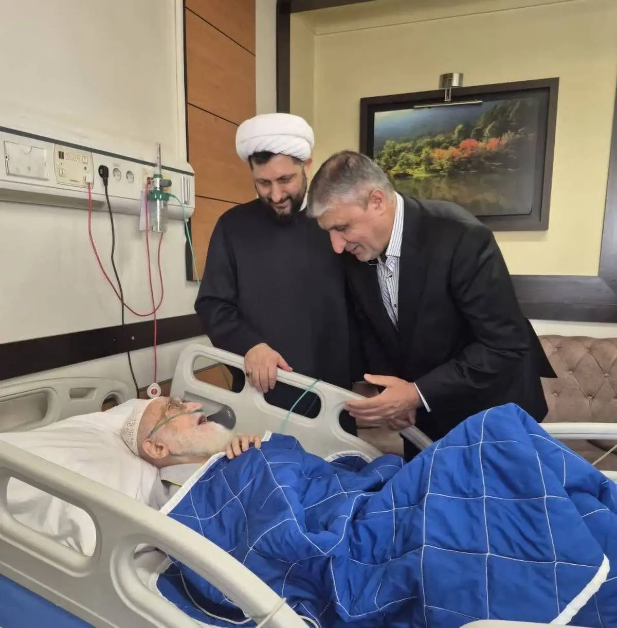 عیادت رئیس سازمان انرژی اتمی از آیت‌الله العظمی نوری همدانی