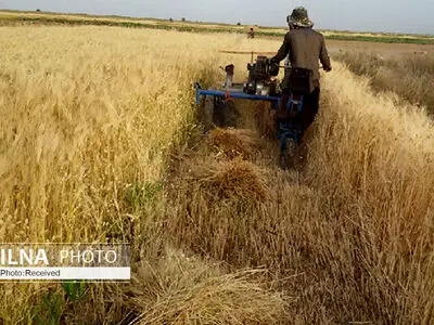 طرح جهاد میدانی محققان در بخش زراعت و حفظ نباتات  اجرا شد