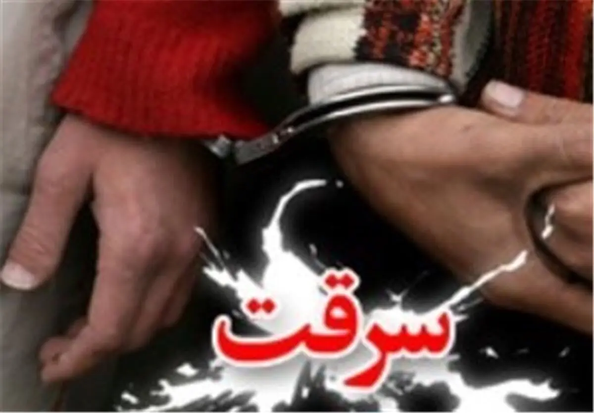 افزایش 31 درصدی کشف سرقت ها در استان مازندران 