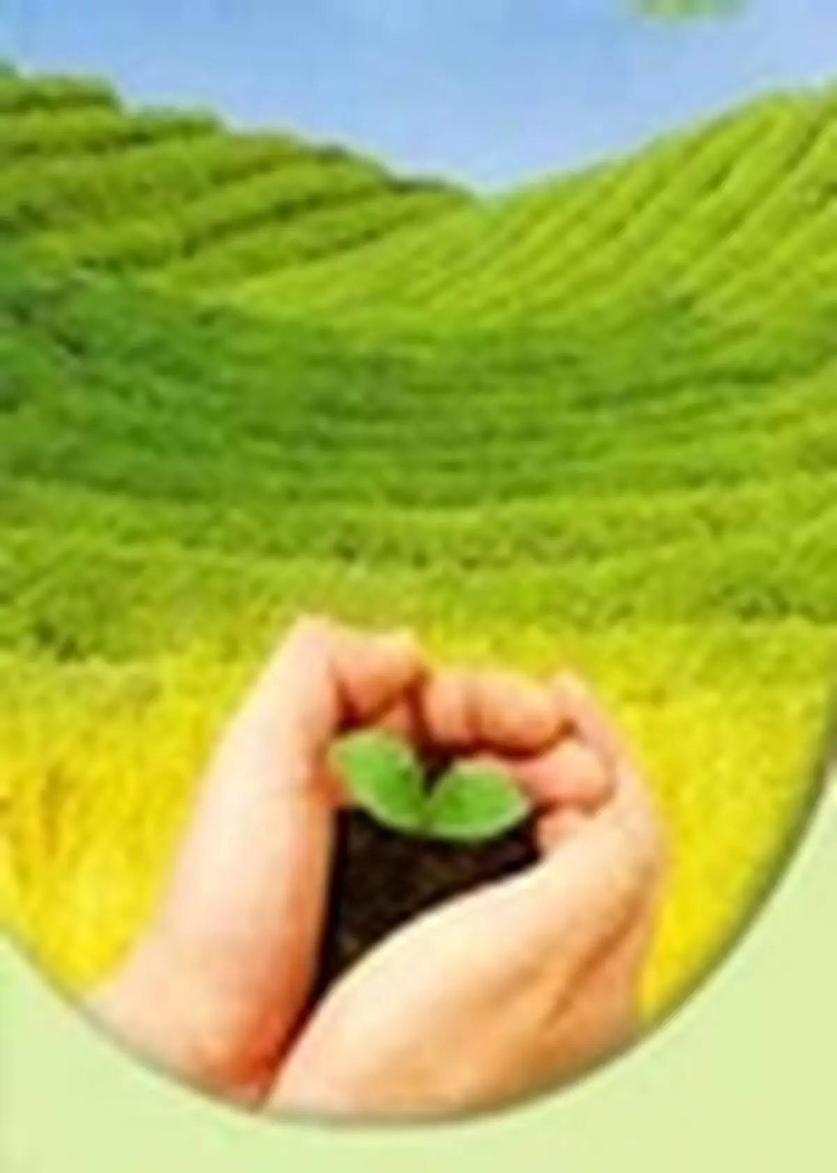 ۳۴ هکتار از اراضی بیابان است / سهم بخش کشاورزی در اقتصاد ۱۴ درصد
