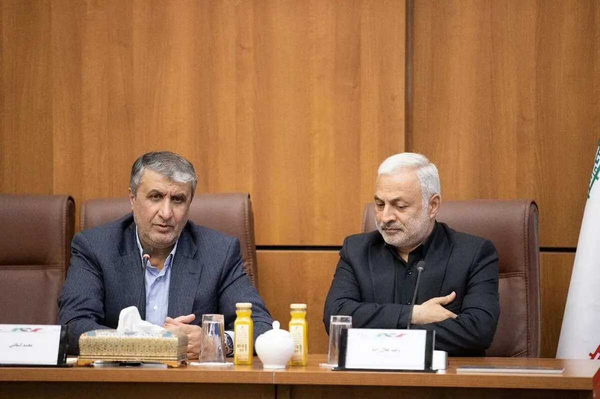 رئیس منظمة الطاقة الذریة: تولید الکهرباء في محطة بوشهر النوویة تجاوز 60 ملیار کیلوواط / ساعة