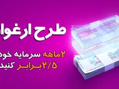 مبلغ تسهیلات طرح ارغوان بانک سینا افزایش یافت