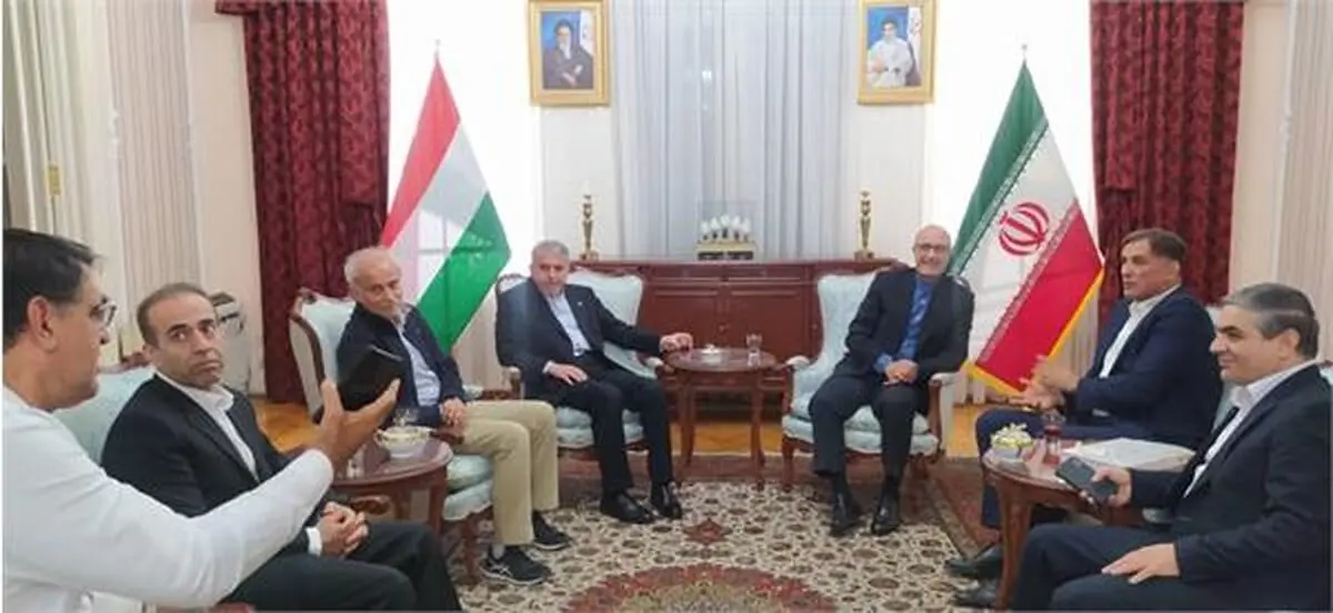 دکتر صالحی امیری با سفیر ایران در مجارستان ملاقات کرد