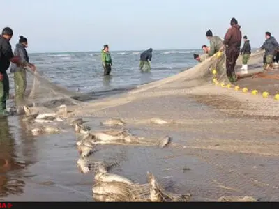 کمبود نیرو در یگان حفاظت شیلات 