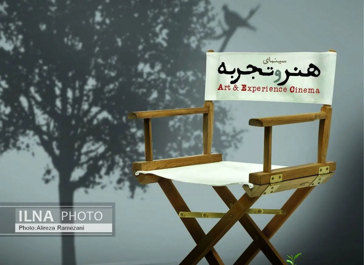 چه تعداد فیلم سینمایی در گروه هنر و تجربه به نمایش درآمده؟