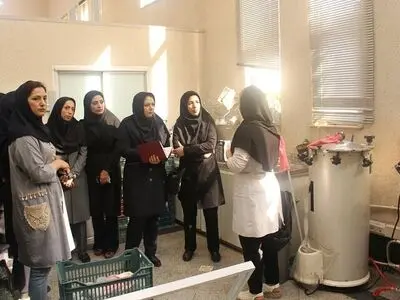 دستور اختصاص 200 میلیارد ریال خط اعتباری ویژه برای حمایت از بانوان کارآفرین