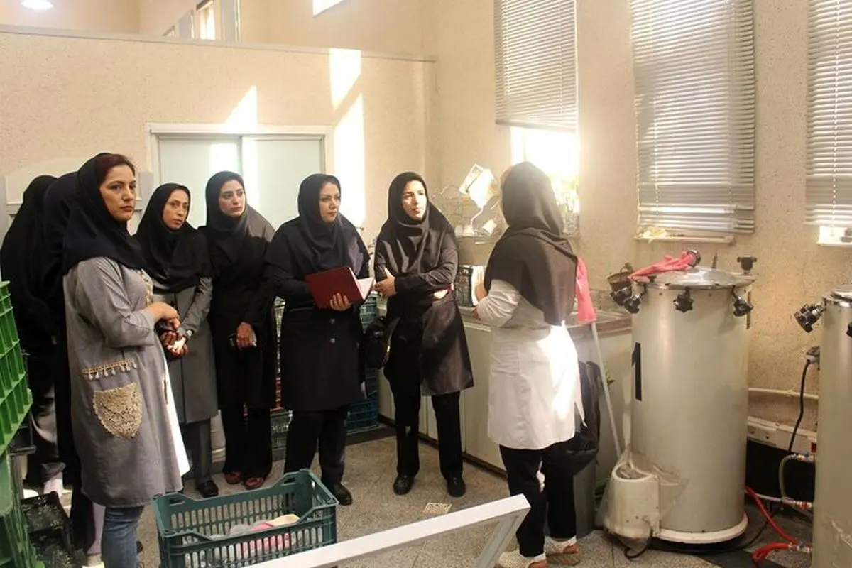 دستور اختصاص 200 میلیارد ریال خط اعتباری ویژه برای حمایت از بانوان کارآفرین