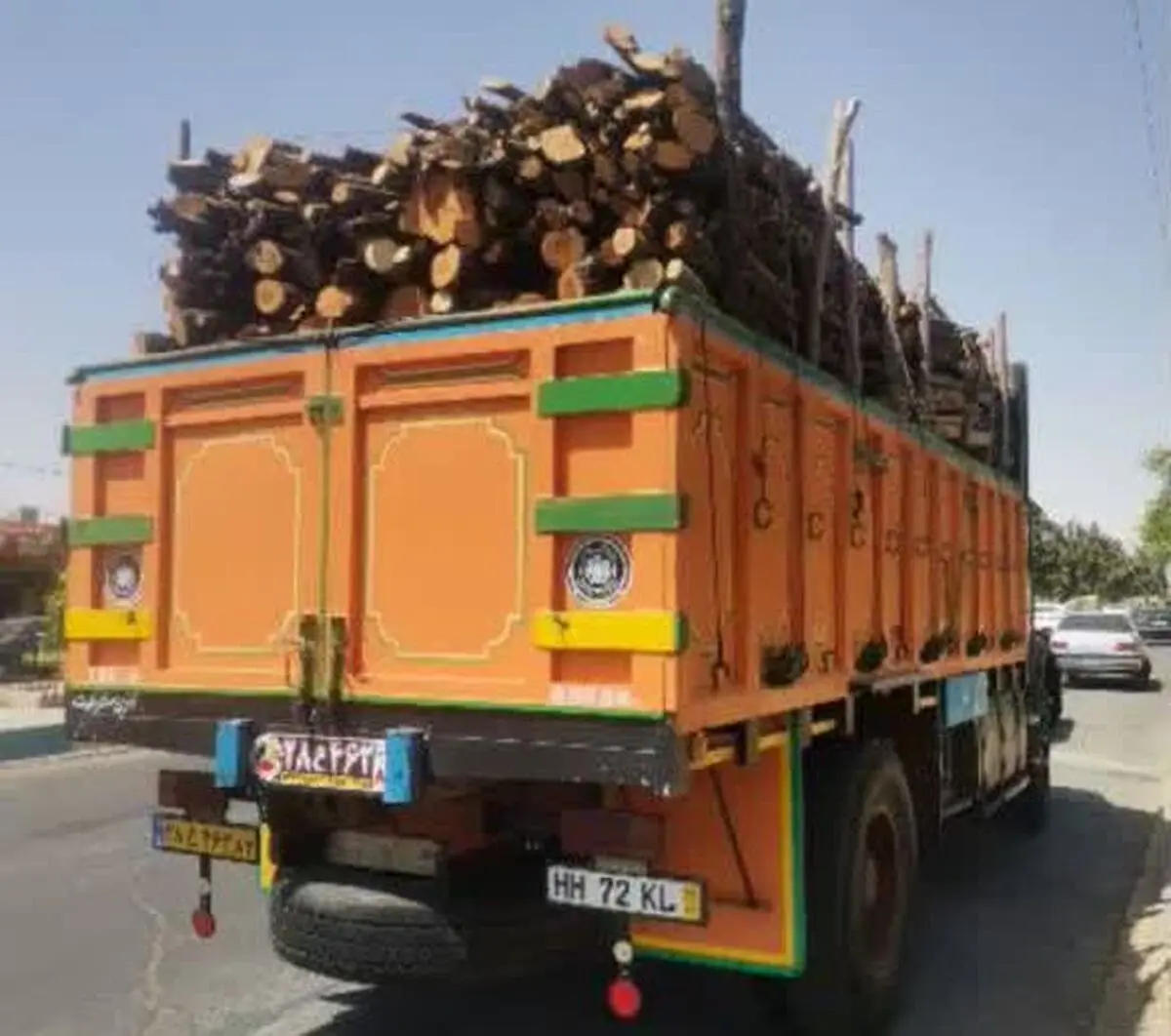 توقیف و ضبط بیش از ۲۳ تن چوب قاچاق در فارس/۷ متخلف به مراجع قضایی معرفی شدند
