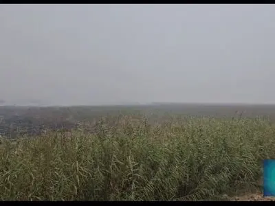 آتش‌سوزی در بخش عراقی هورالعظیم، خوزستان را در محاصره دود قرار داد + فیلم