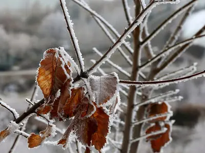 وقوع یخبندان در کرمانشاه/شروع دوباره بارش‌ها از پایان هفته