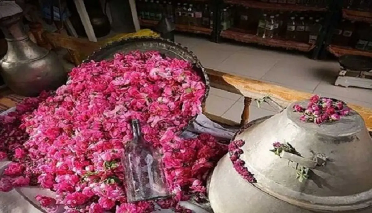 گلاب‌گیری کاشان را در برج میلاد تماشا کنید