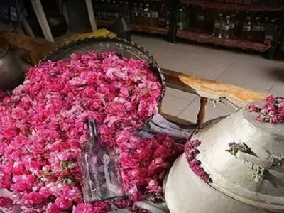 گلاب‌گیری کاشان را در برج میلاد تماشا کنید