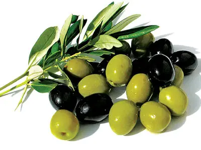 طرح طوبی در باغات شهرستان طارم اجرا شد