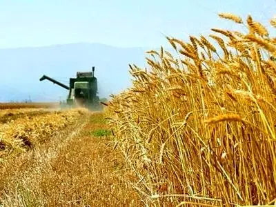 پیش‌بینی تولید بیش از ۶۵۶ هزار تن گندم در همدان