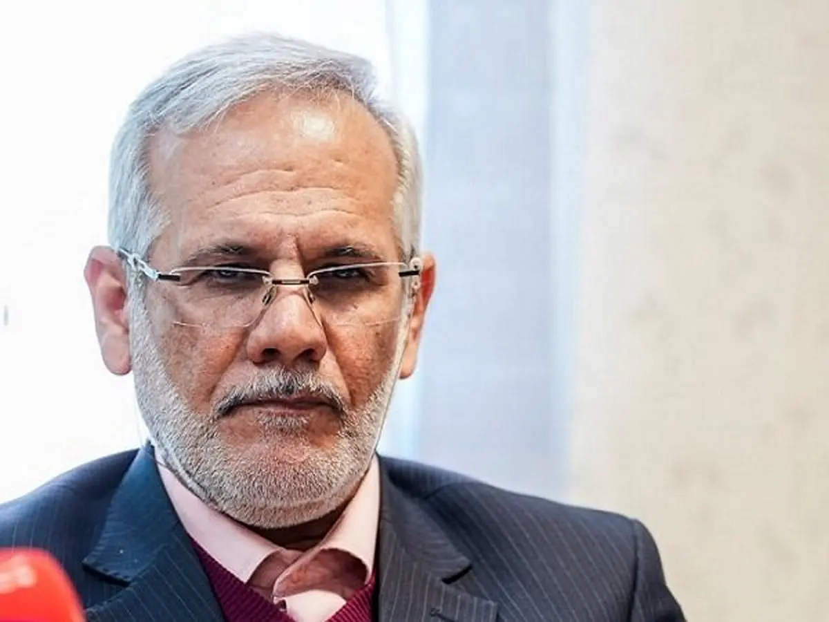 عمده ایرانیان اخراج شده از آمریکا ورود غیرمجاز به آنجا داشتند/ افرادی که به صورت غیرقانونی از کشور خارج شده باشند، مجازات نمیشوند