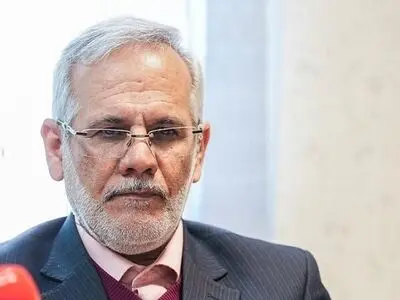عمده ایرانیان اخراج شده از آمریکا ورود غیرمجاز به آنجا داشتند/ افرادی که به صورت غیرقانونی از کشور خارج شده‌ باشند، مجازات نمی‌شوند
