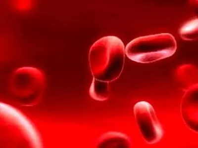 افت گلبول سفید خون، زنگ خطر سلامت بدن