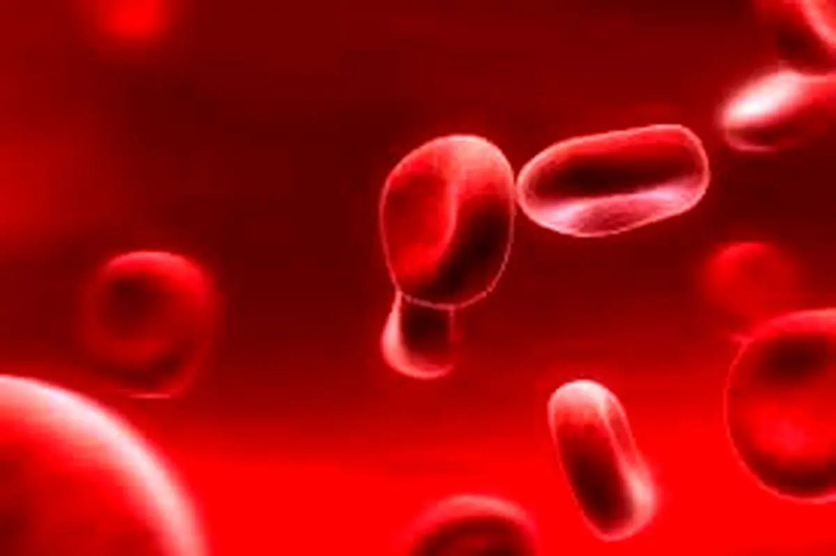 افت گلبول سفید خون، زنگ خطر سلامت بدن