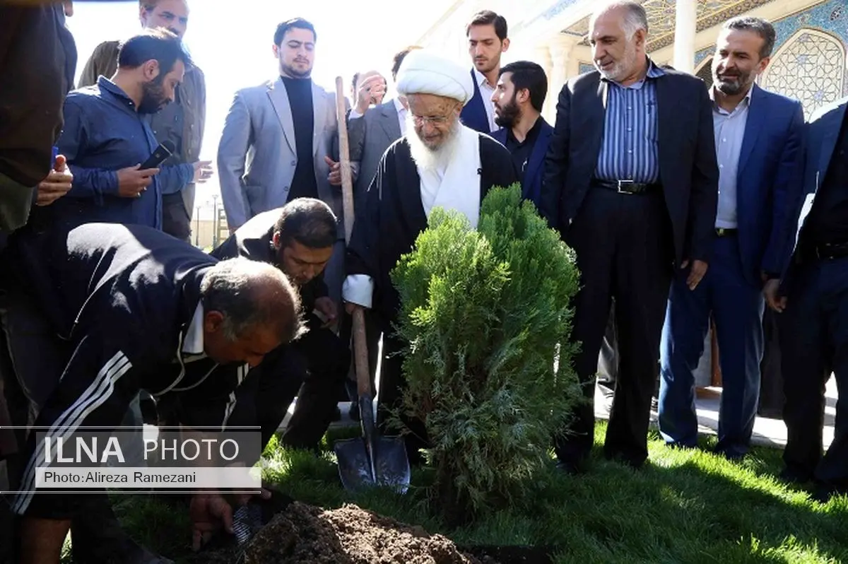 درختکاری از واجبات زندگی بشریت است