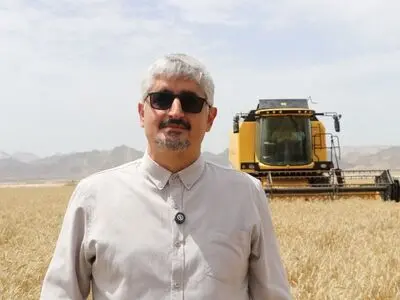 آغاز برداشت گندم از سطح ۴۴۸ هزار هکتار از مزارع فارس