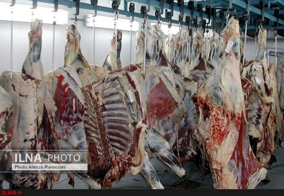 دلیل گرانی گوشت، خروج غیرقانونی دام و کاهش عرضه در میادین است