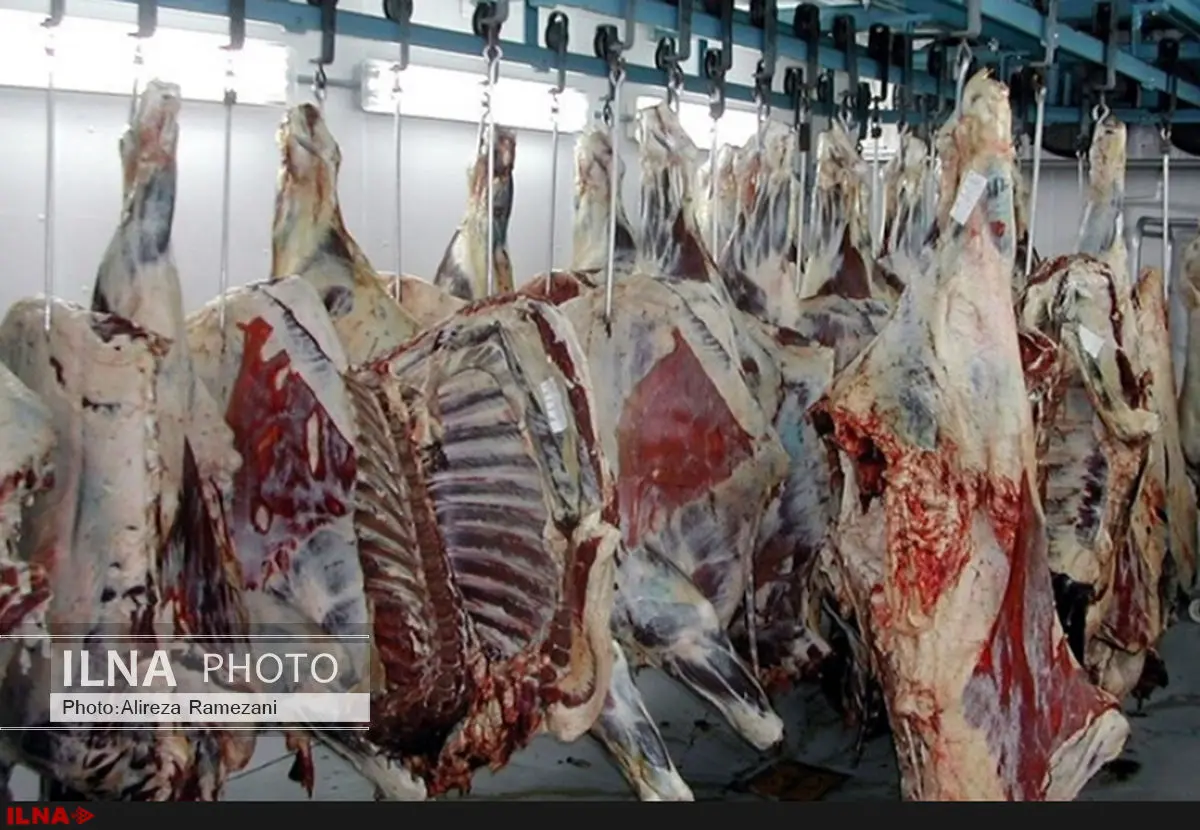 دلیل گرانی گوشت، خروج غیرقانونی دام و کاهش عرضه در میادین است