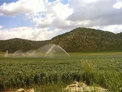 ۶۰ هزار هکتار از اراضی استان مجهز به سامانه‌های نوین آبیاری  شد