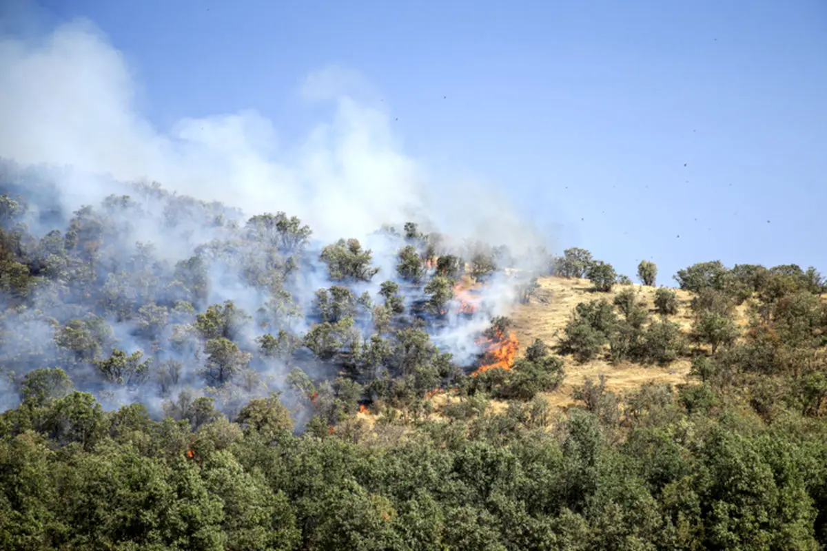 انتخاب سفیدکوه خرم‌آباد به عنوان پایلوت ملی اطفای حریق در زاگرس 