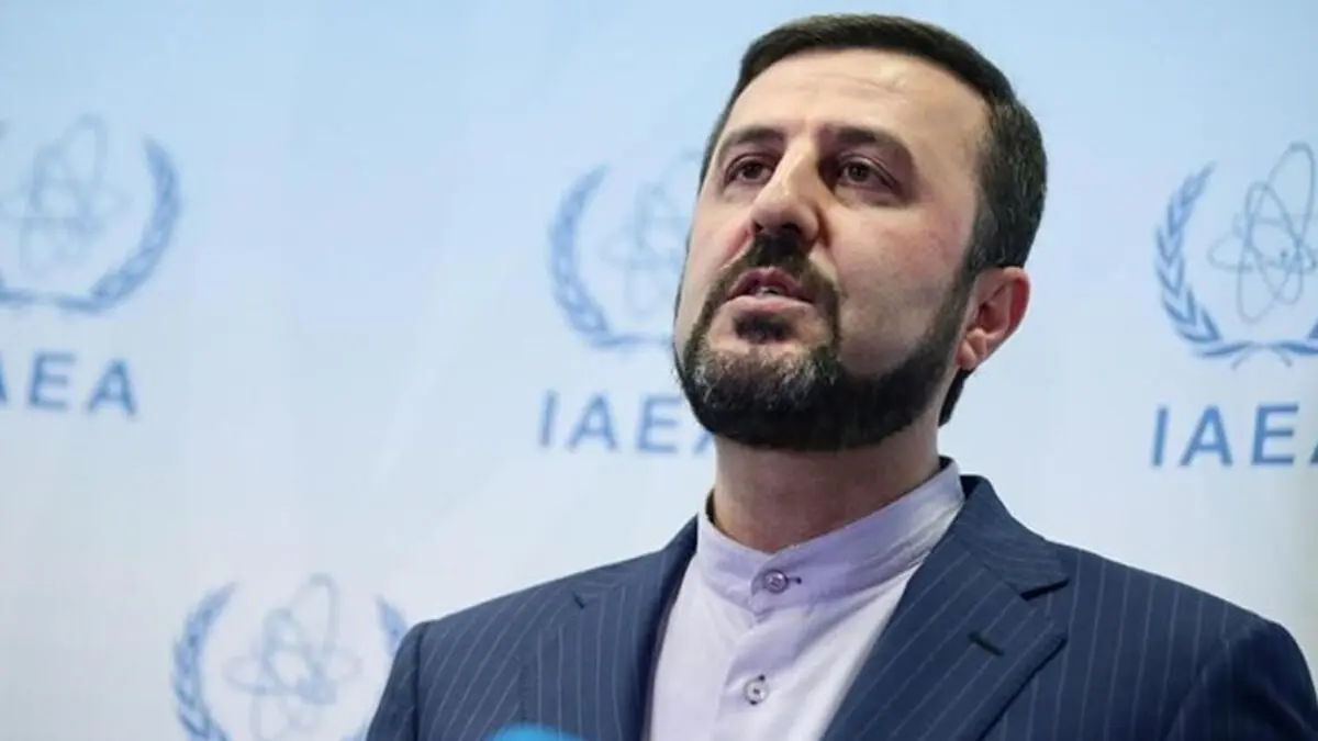 Iran warns IAEA against picking political stance