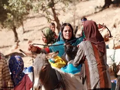 توسعه فضاهای شهری ادبیات اقلیمی را به حاشیه رانده است