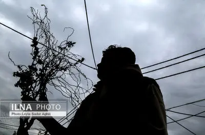 استقبال از نوروز 1405 در جنگ و امید