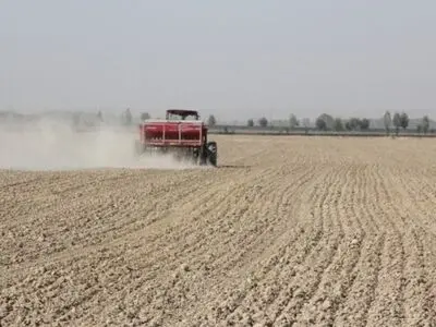 رکورد کشت کلزا و گندم البرز در نظرآباد