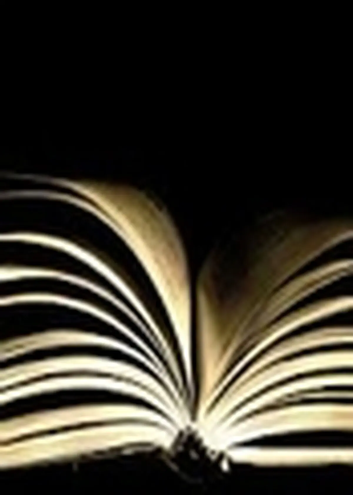 کتاب شعر «فرصت آفتابی» در زنجان رونمایی شد