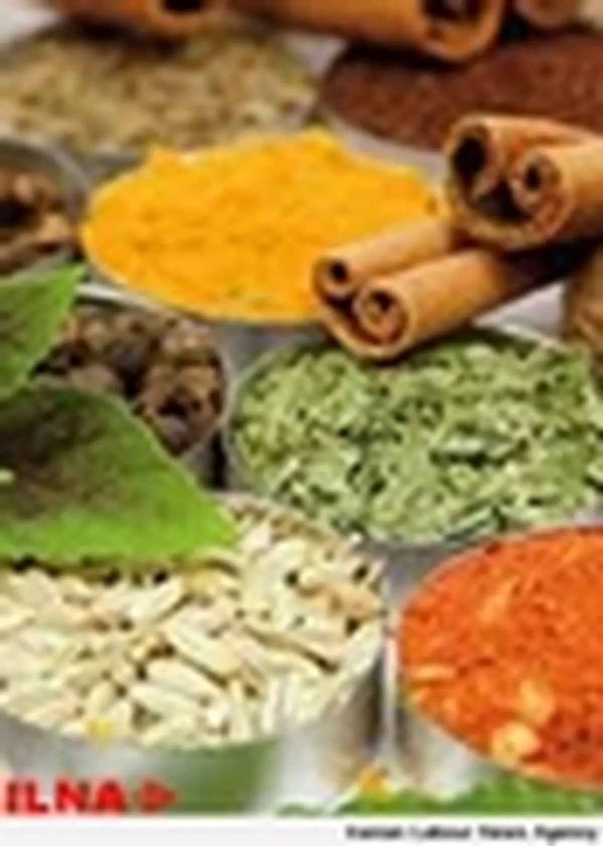 پذیرش دانشجو در سه رشته مرتبط با طب سنتی