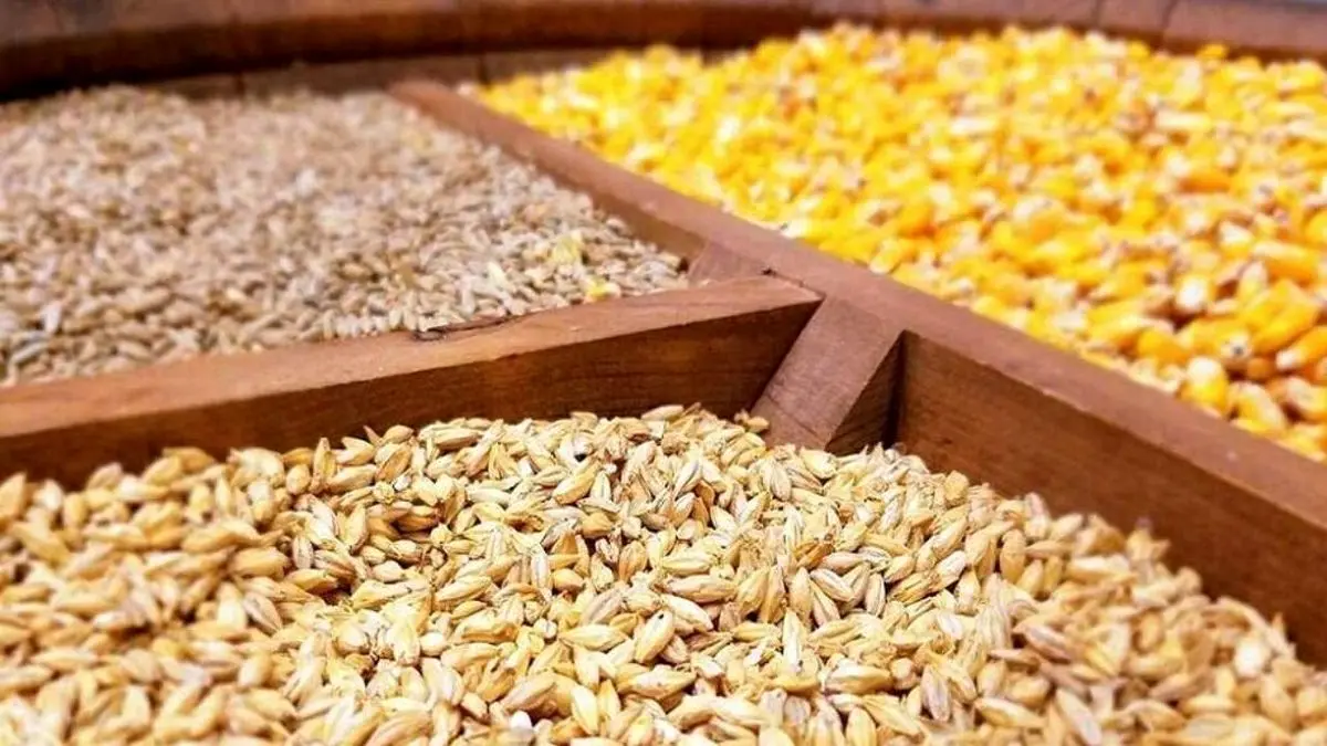 مسئولیت نظارت و توزیع نهاده‌های دامی به شرکت پشتیبانی امور دام واگذار شد