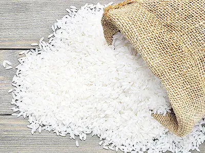 لغو ممنوعیت ترخیص برنج در فصل برداشت دوباره ابلاغ شد